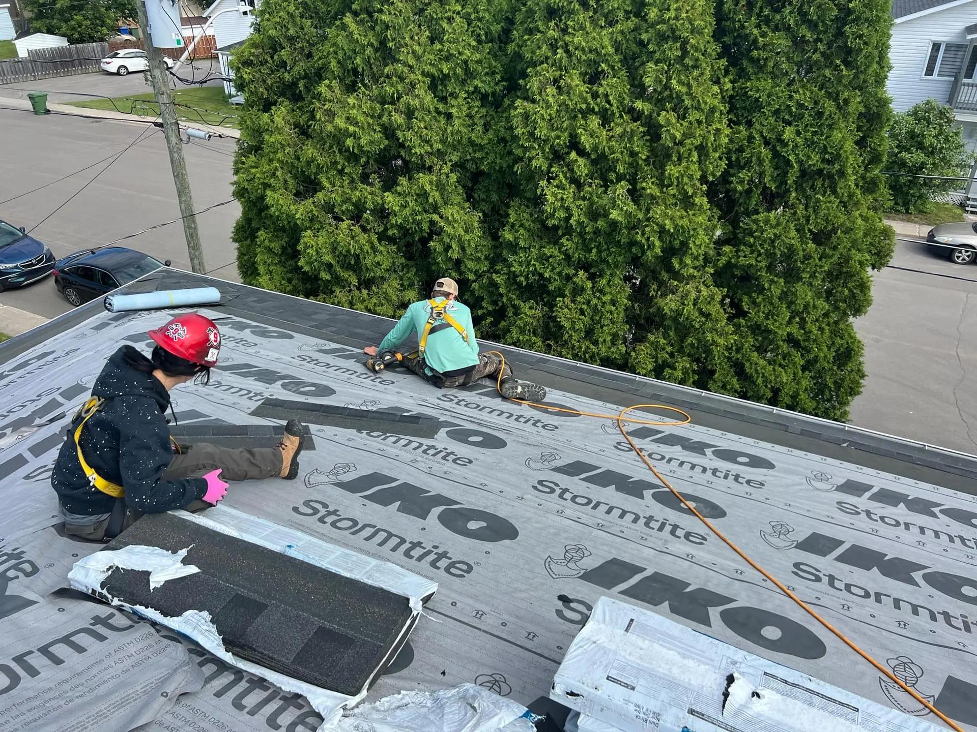 Deux couvreurs sont en train de poser des bardeaux sur un toit avec une sous-couche IKO Stormtite. Ils portent des équipements de sécurité et travaillent à proximité d'une grande haie d'arbres verts, avec une rue et des voitures visibles en arrière-plan Select an Image