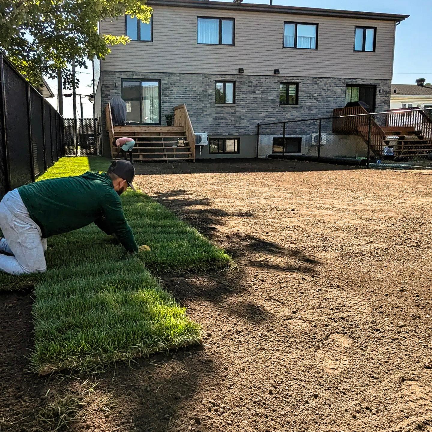 Installation de gazon en rouleaux dans un jardin résidentiel devant une maison à deux étages.