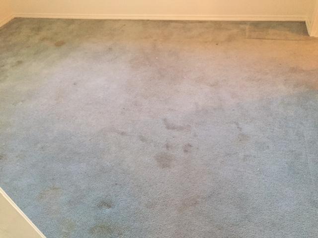 contractor gallery