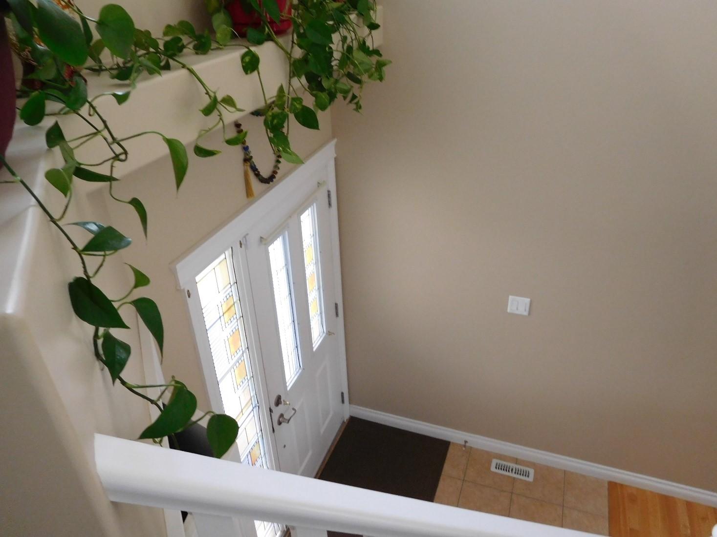 contractor gallery