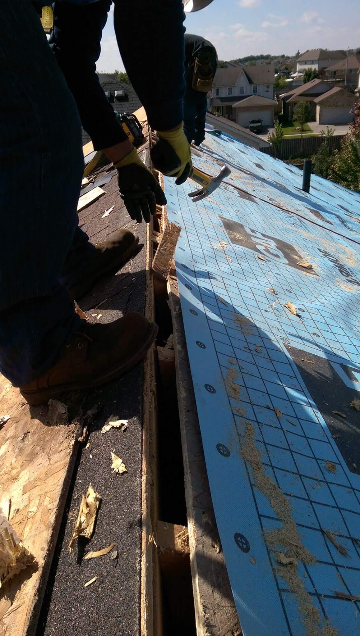 contractor gallery