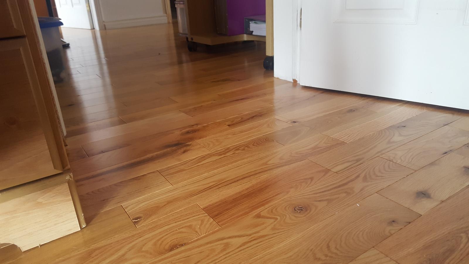 contractor gallery