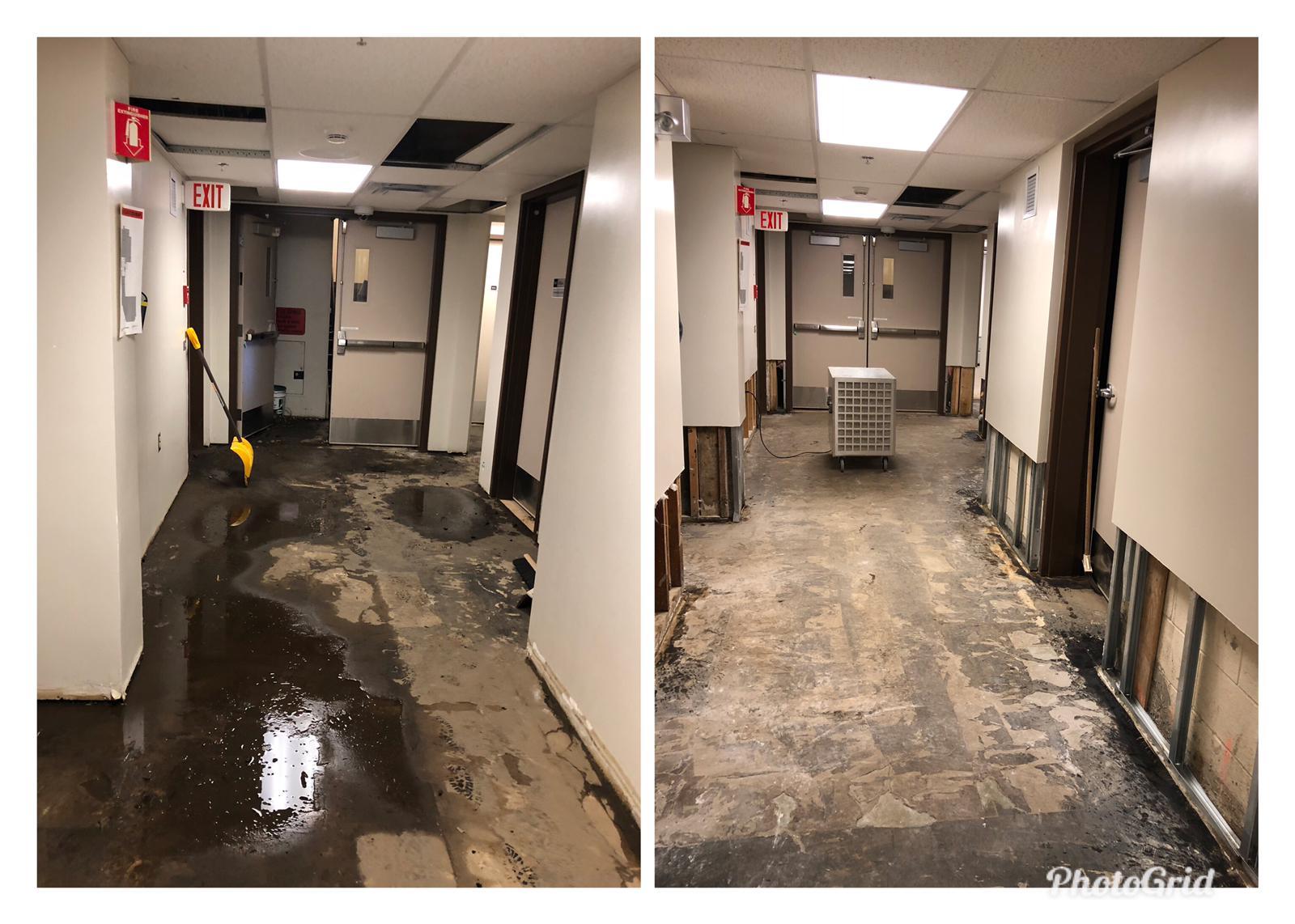 contractor gallery