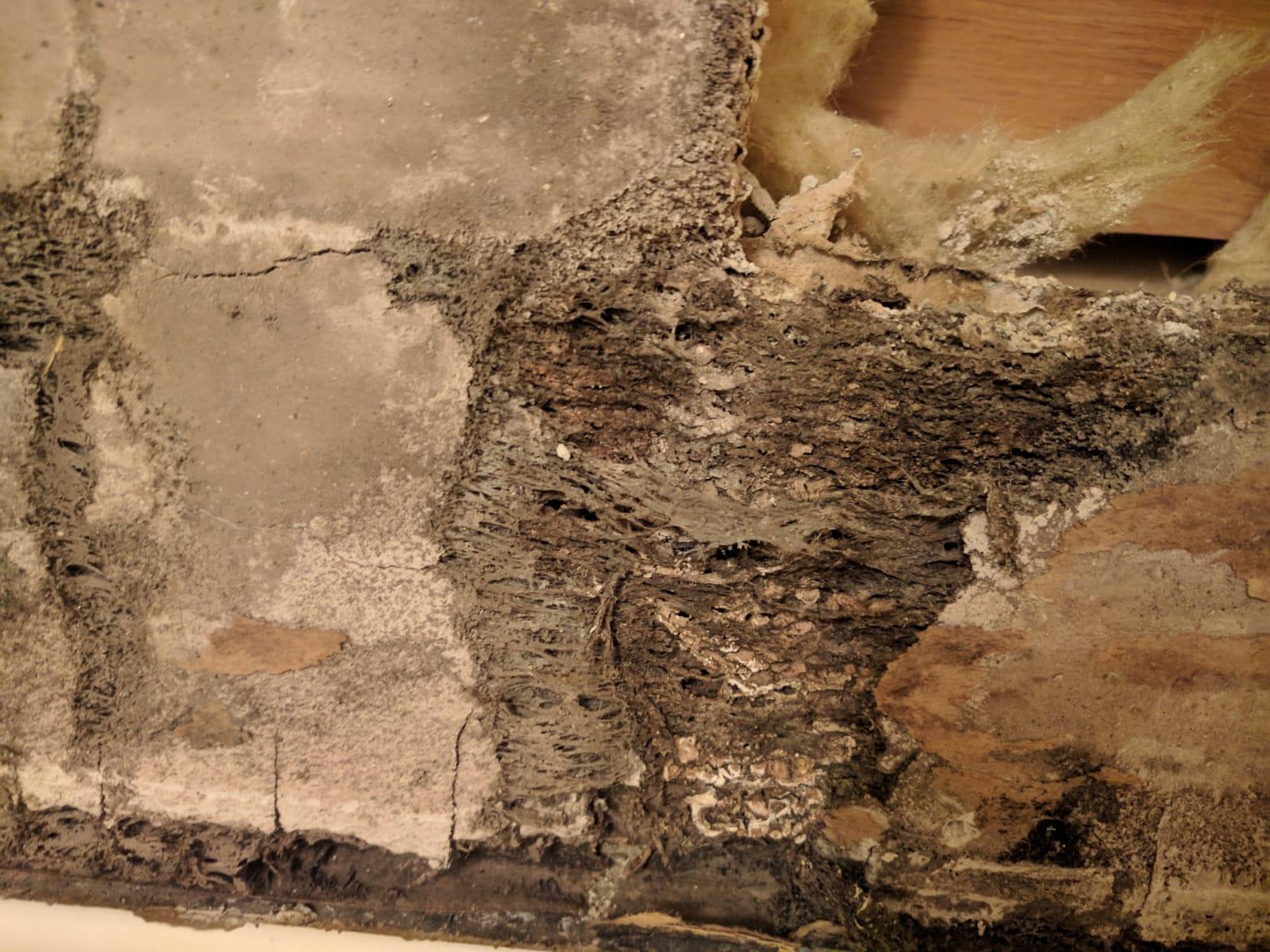 contractor gallery