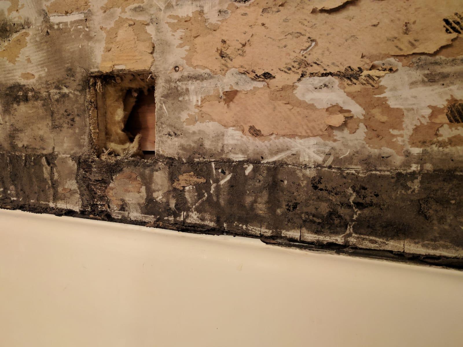 contractor gallery