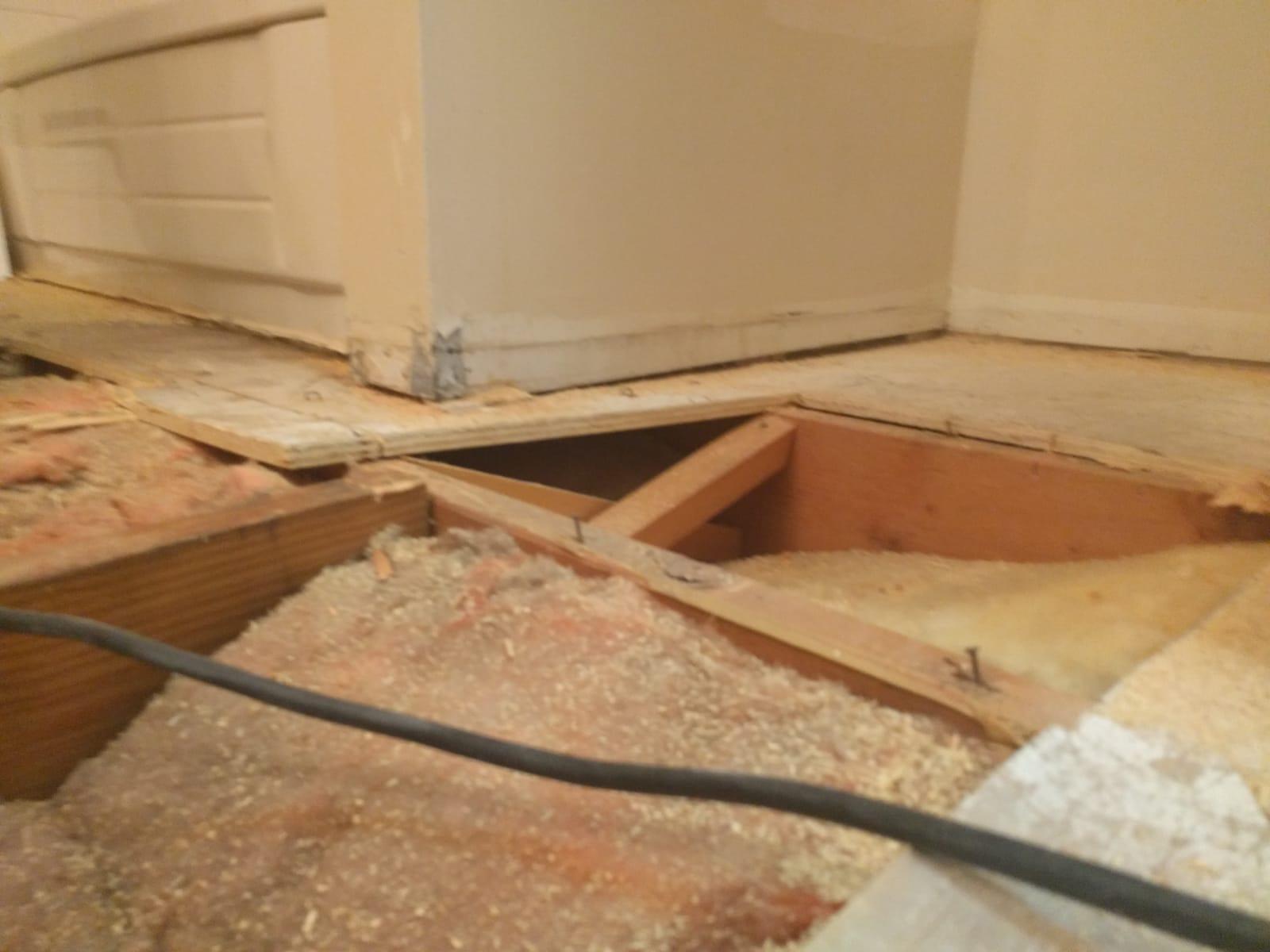 contractor gallery