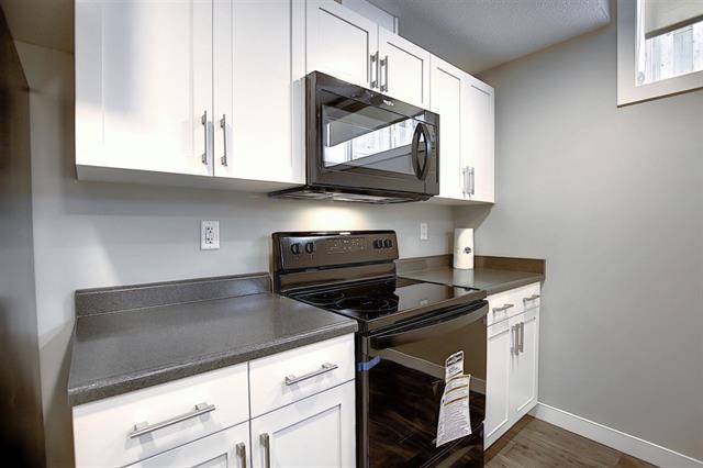 contractor gallery