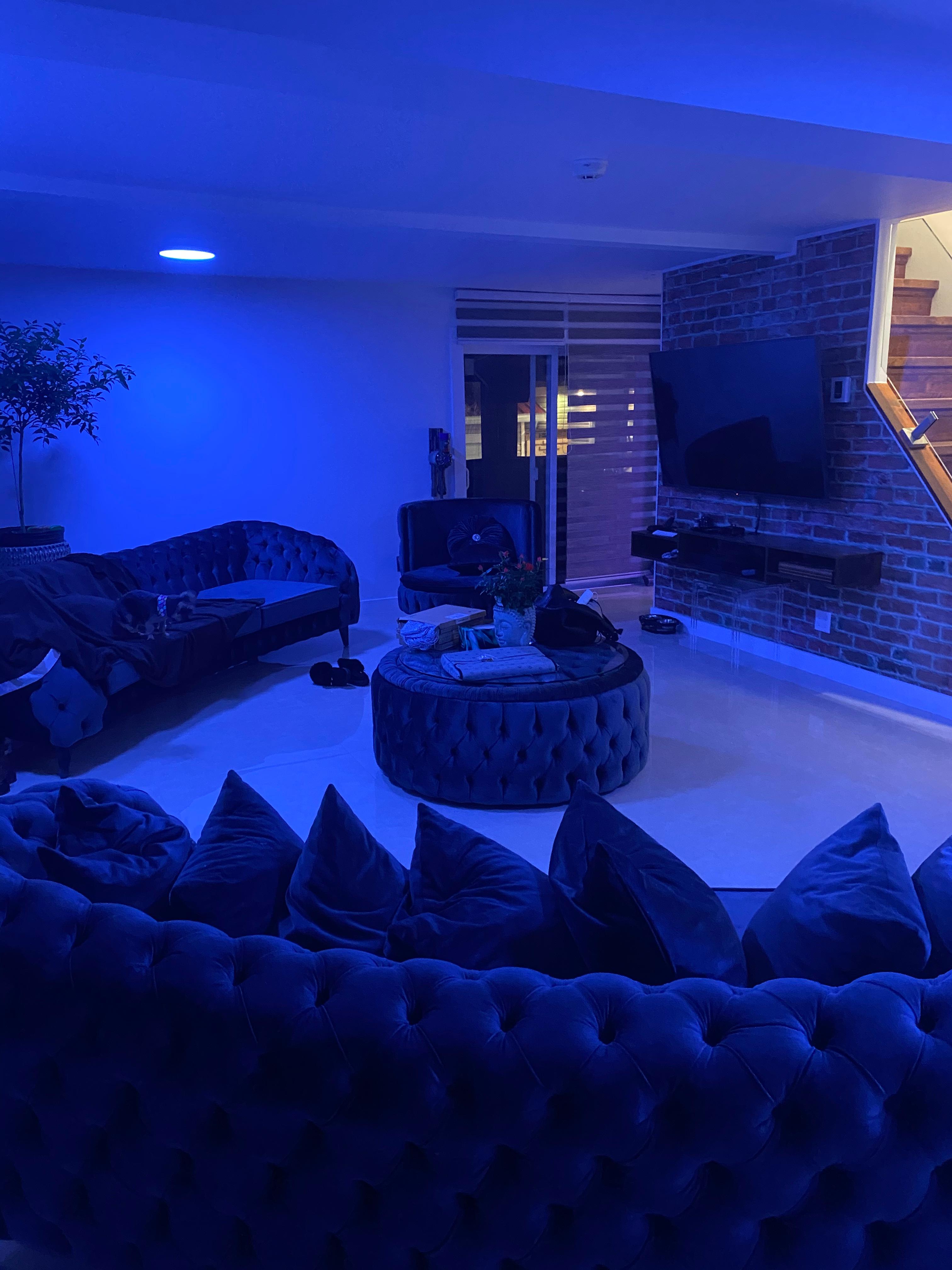 contractor gallery