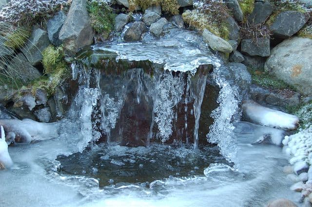Bassin glacé_Aménager un bassin d'eau dans sa cour 