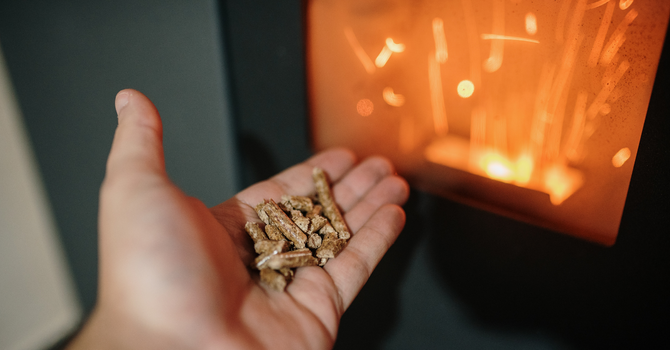 Biomasse pour chauffage (granules)